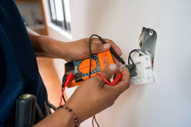 Best Electrician for Home Renovation  in Princevle, IL