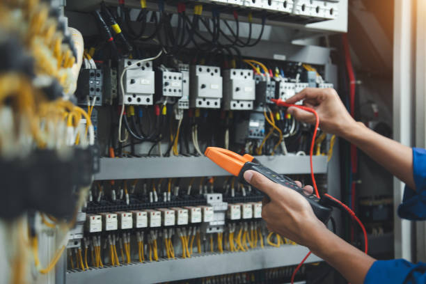 Best Electrician for Home Renovation  in Princevle, IL